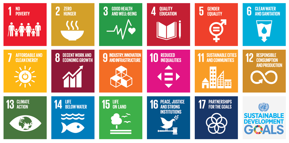 Overview of the Sustainable Development Goals