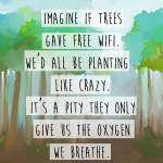 trees and wifi