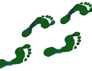 green-footprints-md